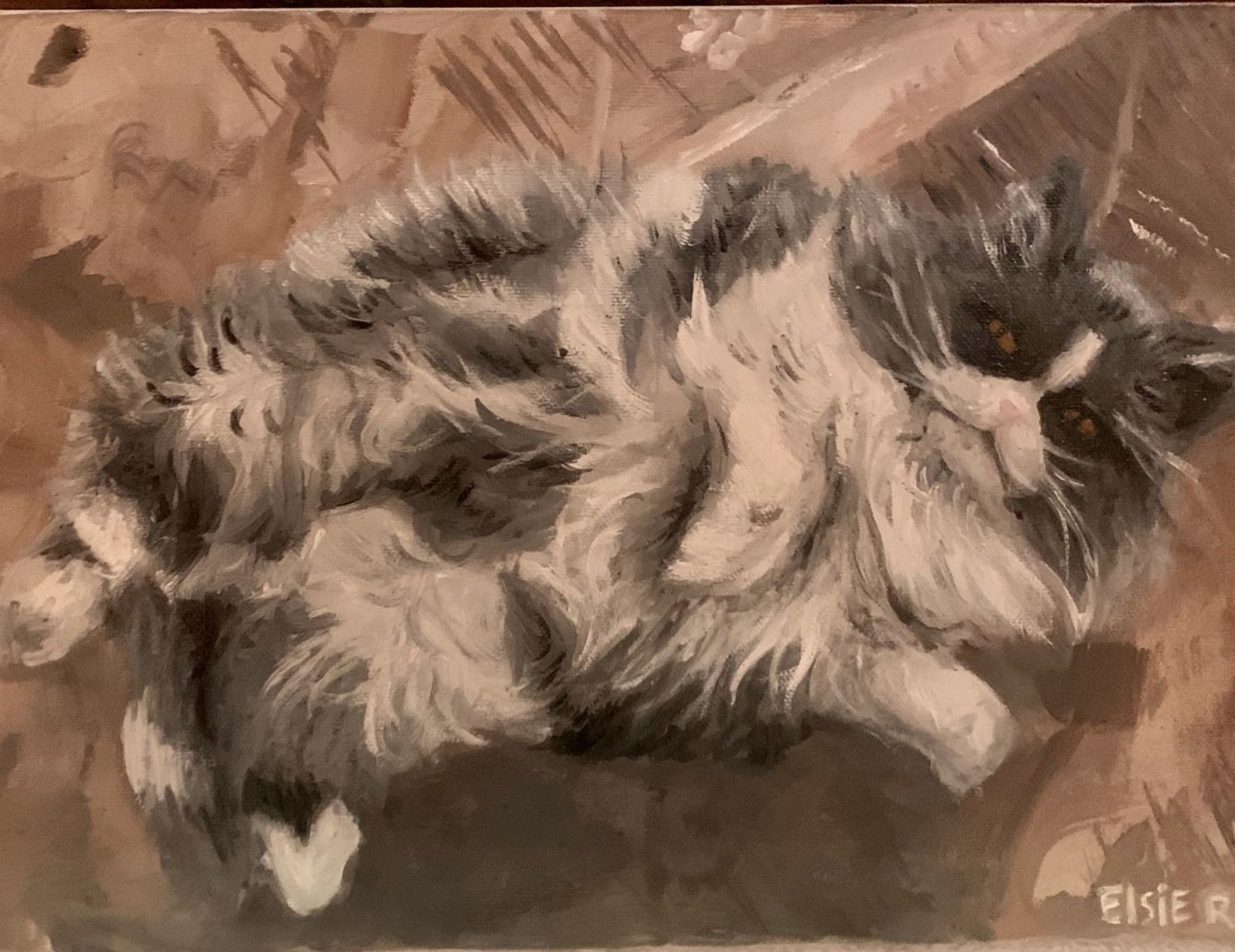 Portrait of a cat